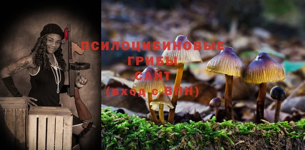 МДПВ Кулебаки