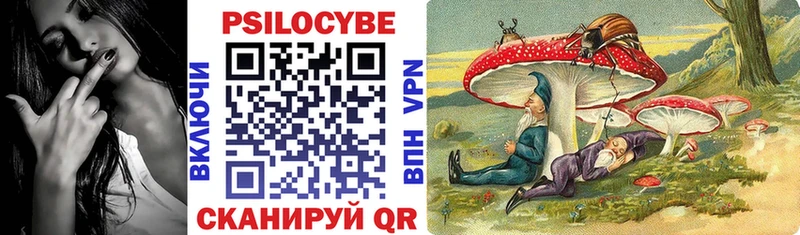 Купить  Усть-Джегута  Псилоцибиновые грибы GOLDEN TEACHER 