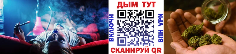Купить Усть-Джегута Бошки Шишки семена